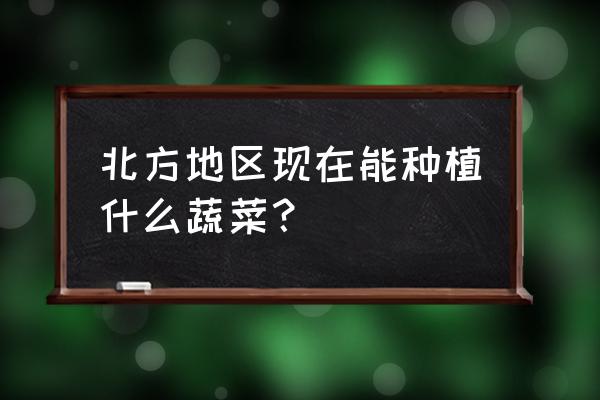 北方十月份吃什么蔬菜比较好呢 北方地区现在能种植什么蔬菜？