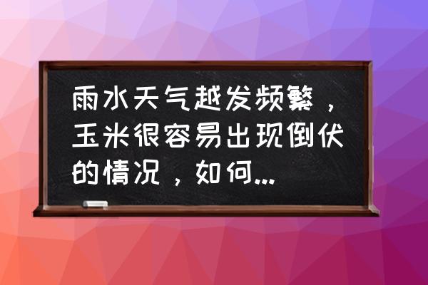 硅肥什么牌子最好 雨水天气越发频繁，玉米很容易出现倒伏的情况，如何防倒伏？