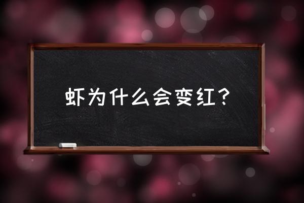 白对虾转肝期肝脏红肿怎么处理 虾为什么会变红？