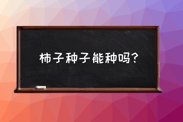 软枣的最佳晾晒方法 柿子种子能种吗？