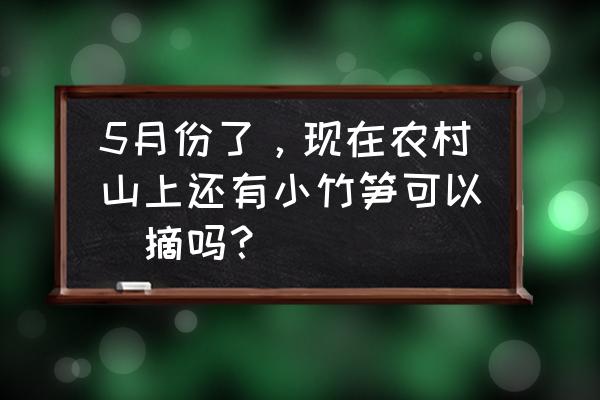 野外采摘需要做哪些准备 5月份了，现在农村山上还有小竹笋可以釆摘吗？