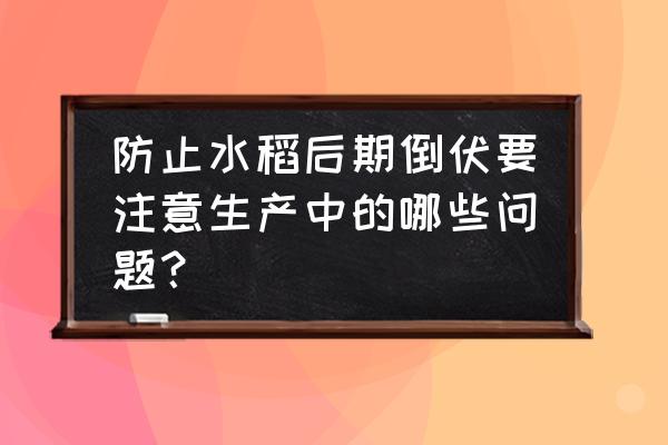 水稻倒伏的最佳解决方法 防止水稻后期倒伏要注意生产中的哪些问题？