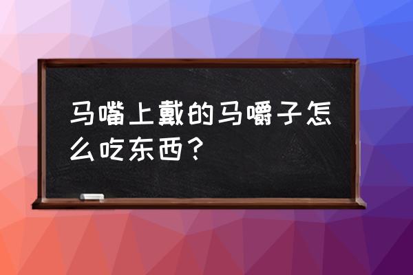 马儿的草料有哪些 马嘴上戴的马嚼子怎么吃东西？