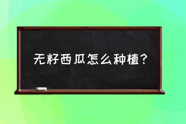 西瓜种子破壳育苗办法 无籽西瓜怎么种植？