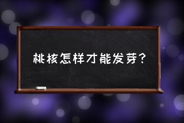 怎样使桃核更容易发芽 桃核怎样才能发芽？