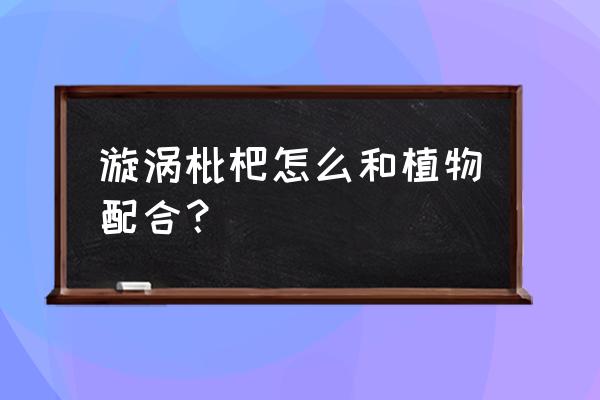 枇杷树怎么种才能矮 漩涡枇杷怎么和植物配合？