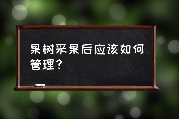 苹果摘果后什么时施肥最佳 果树采果后应该如何管理？