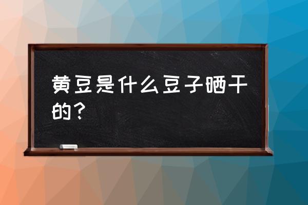 我的孩子我的家黄豆怎么来的 黄豆是什么豆子晒干的？