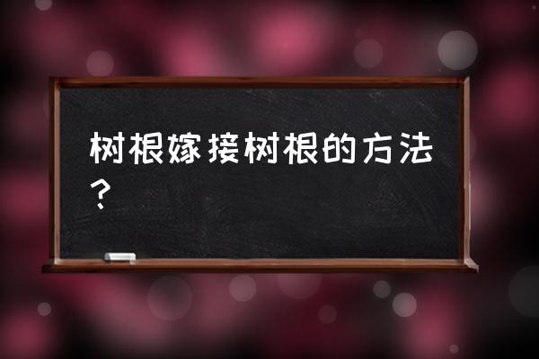 新栽树桩怎么才能早生根 树根嫁接树根的方法？