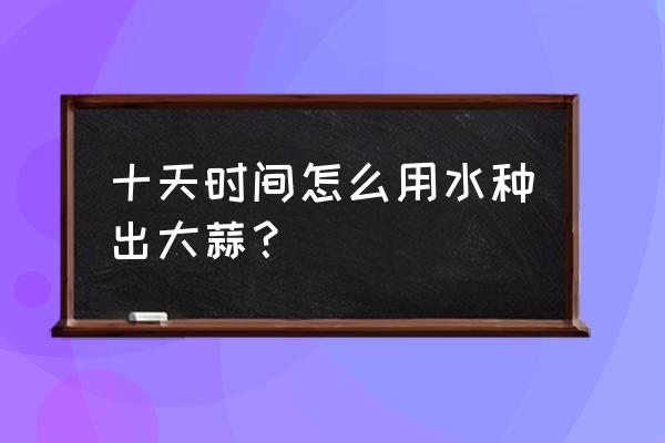 种大蒜怎么种才快速生根 十天时间怎么用水种出大蒜？