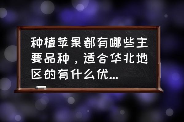 世界的苹果有多少种 种植苹果都有哪些主要品种,适合华北地区的有什么优良的苹果品种? 世界的苹果有多少种 种植苹果都有哪些主要品种,适合华北地区的有什么优良的苹果品种?