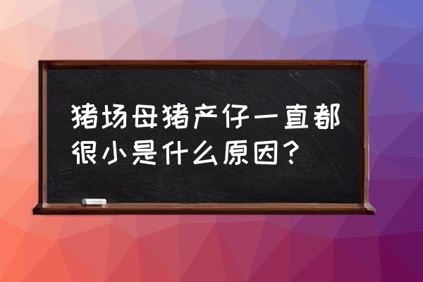 如何提高母猪产仔数量 猪场母猪产仔一直都很小是什么原因? 如何提高母猪产仔数量 猪场母猪产仔一直都很小是什么原因?