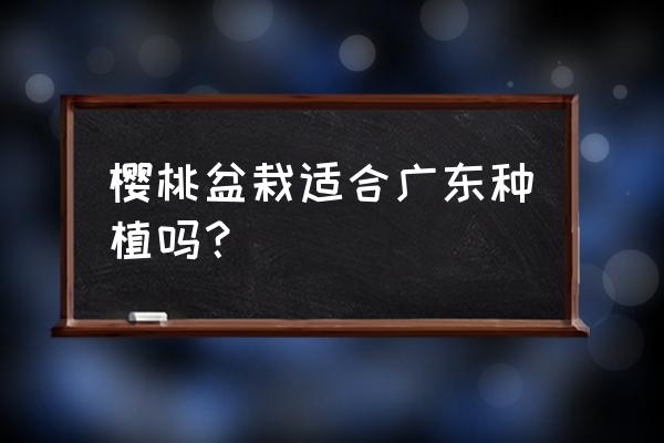 广东种车厘子哪个品种好 樱桃盆栽适合广东种植吗？