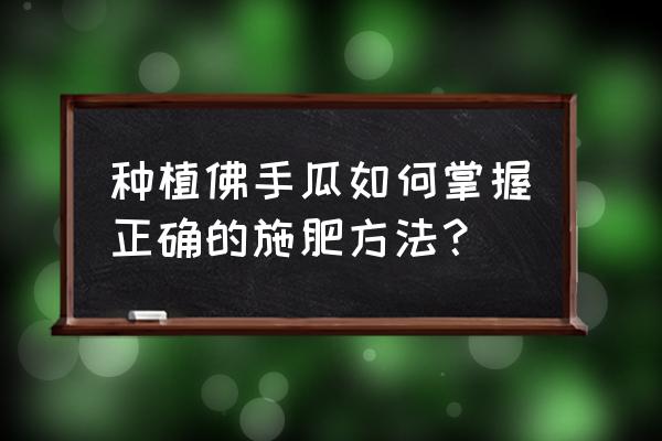 佛手瓜用什么肥料最好 种植佛手瓜如何掌握正确的施肥方法？