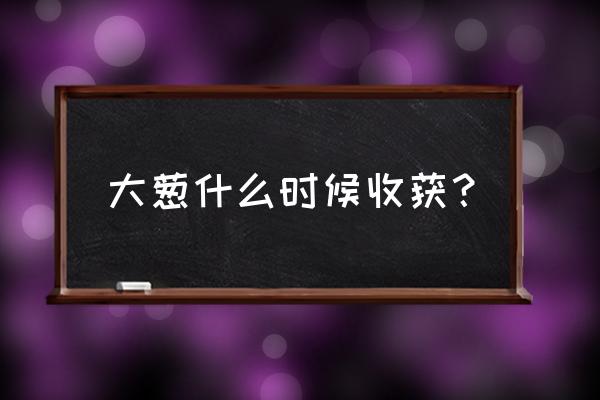 冬储的大葱空心怎么补救 大葱什么时候收获？