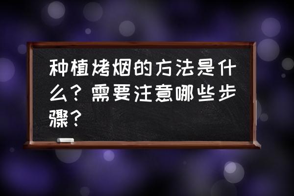 烟叶发生病害的处理办法 种植烤烟的方法是什么？需要注意哪些步骤？