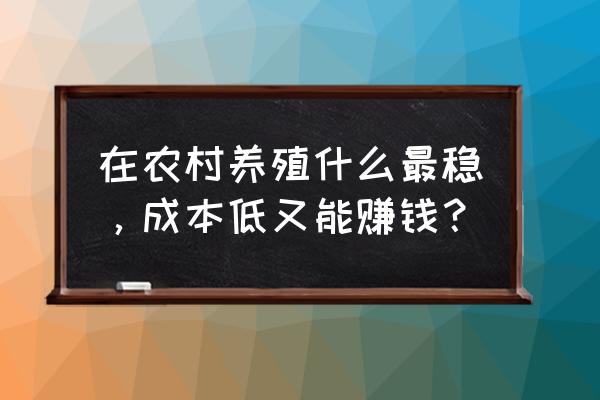 农村养殖什么回本快挣钱 在农村养殖什么最稳，成本低又能赚钱？