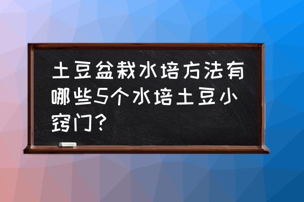 5个马铃薯种植的小妙招 土豆盆栽水培方法有哪些5个水培土豆小窍门？